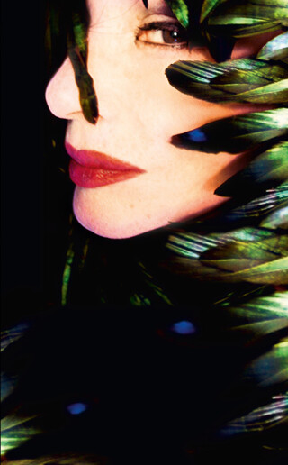Feathers - English Edition Feathers - English Edition – book cover closed